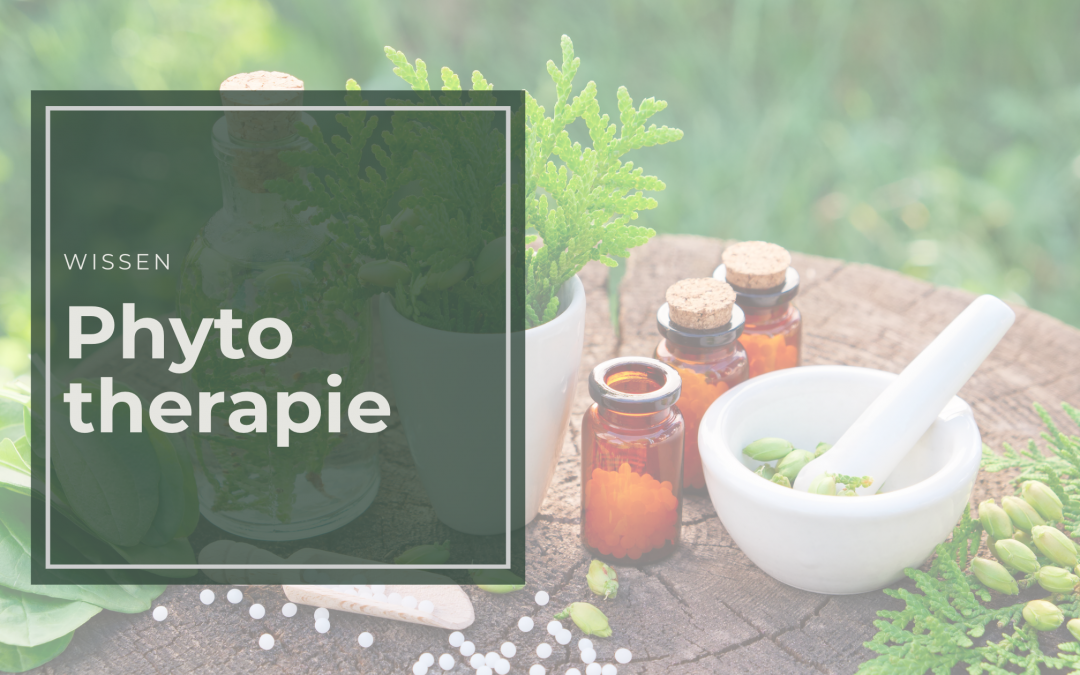 Phytotherapie: Natürliche Heilkräfte für deine Gesundheit