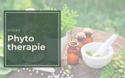 Phytotherapie: Natürliche Heilkräfte für deine Gesundheit