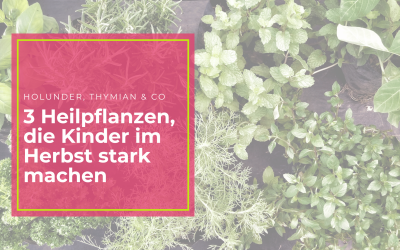 Holunder, Thymian & Co – 3 Heilpflanzen, die Kinder im Herbst stark machen