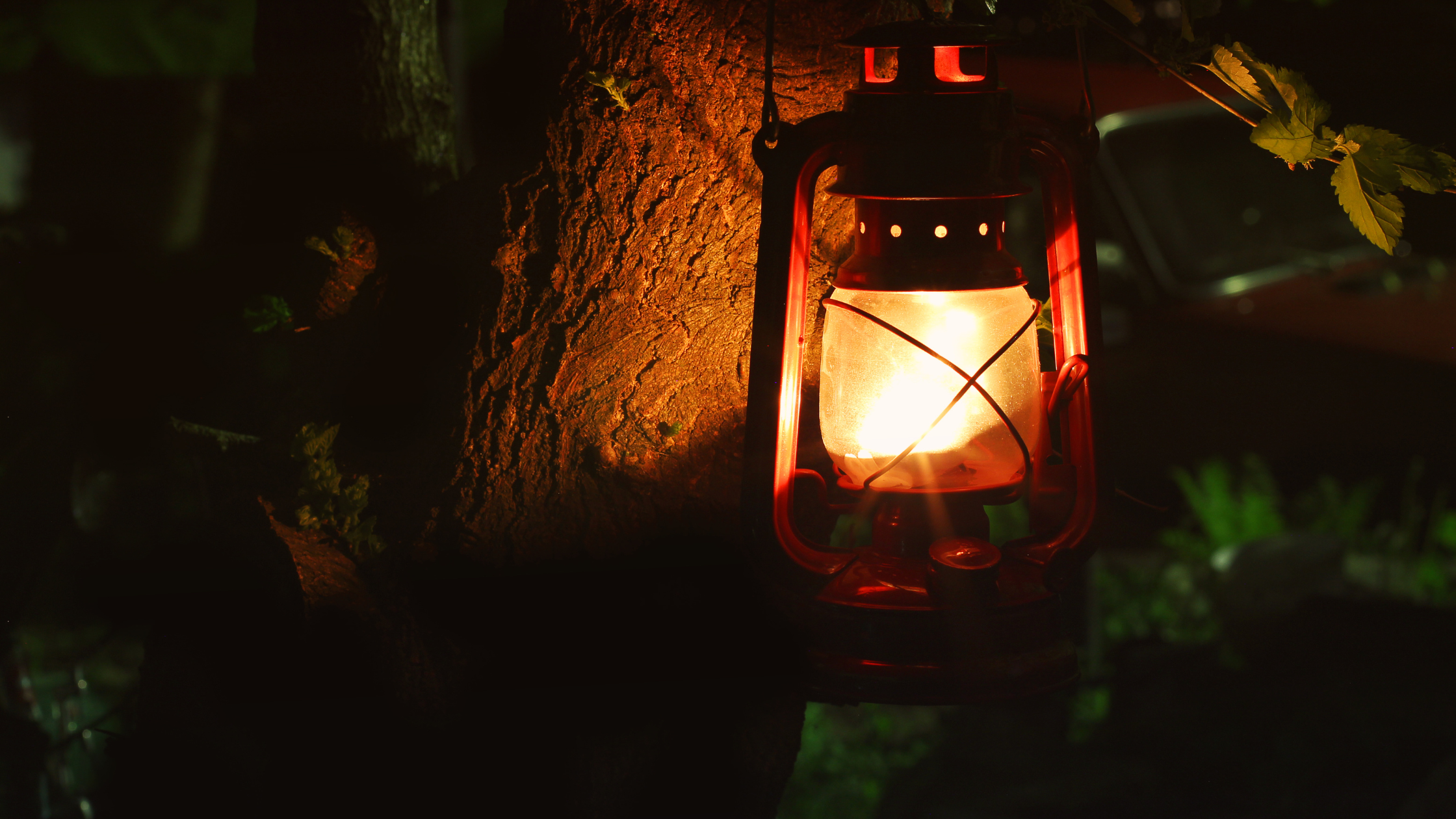 „Blühender Thymian im Kräutergarten – natürliche Hilfe bei Husten und Erkältung“